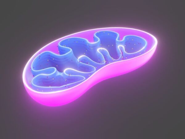 How Does Methylene Blue Support Mitochondrial Function
