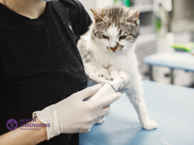 Cat Being Treated by a Veterinarian at a Clinic, Showing A Calm Pet in a Professional Healthcare Setting.