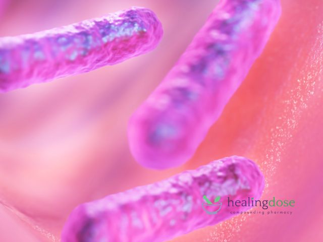 Lactobacillus Bacteria in Bacterial Vaginosis Context